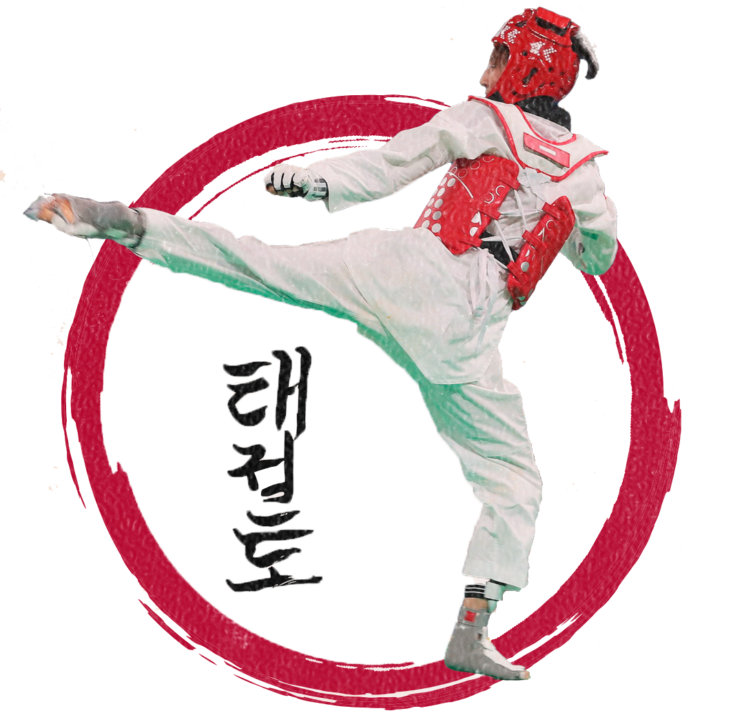 taeckwondo-arte